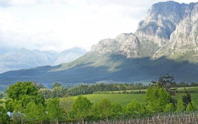 The Culinary Cape – South Africa