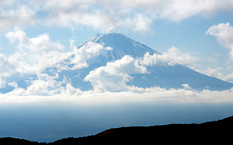 TLC Fuji