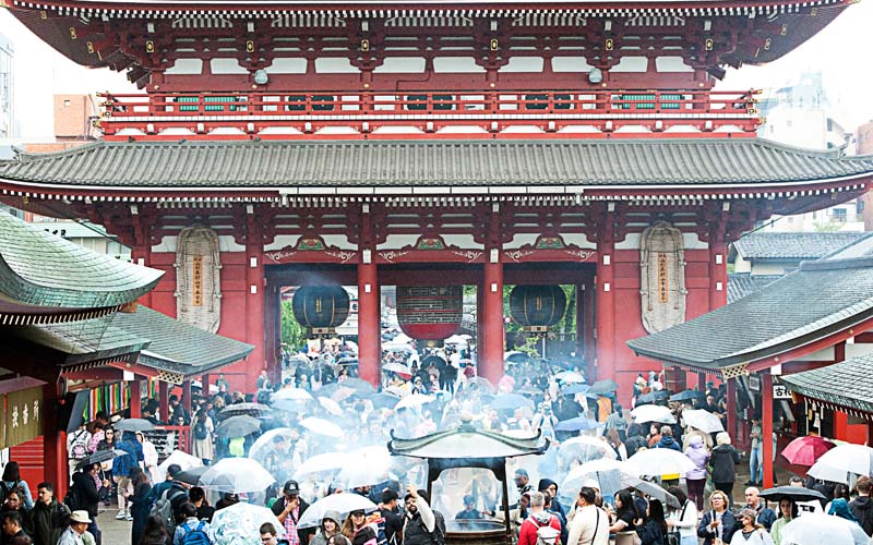 TLC Tokyo Shrine