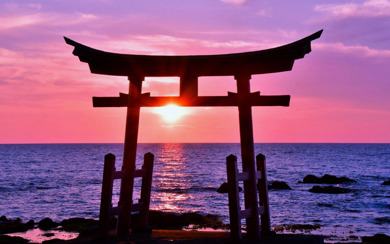 TLC Torii Gate