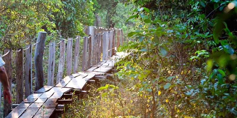 Itinerary---Pantanal-2